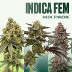 Indica Seeds Mix Pack