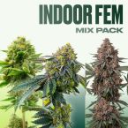 Indoor Feminized Mix Pack