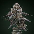 GG4 + Tropic Thunder Funk + Killer Cupcake Clone Bundle