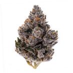 Orange Glaze Feminized Cannabis Seeds