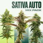 Sativa Auto Seeds Mix Pack