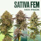 Sativa Feminized Mix Pack