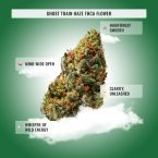 Sativa THCa Flower Bundle