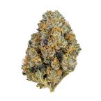Sugar Stack Autoflower Cannabis Seeds