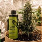 Quick-start Cannabis Grow Kit
