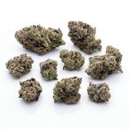 White Runtz Auto Seeds