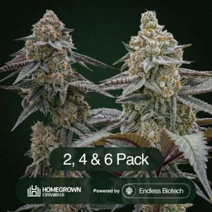 Pablo's Pineapple + Gastronaut Clone Bundle