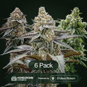 Pablo's Pineapple + Gastronaut + Aloha Sugar Clone Bundle