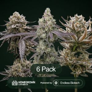 Octane Mintz + Endless Glue + Tropic Thunder Funk Clone Bundle