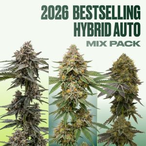 2026 Bestselling Hybrid Auto Collection