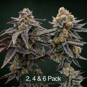 Tropic Thunder Funk + Endless Glue Clone Bundle