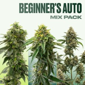 Beginner’s Auto Seeds Mix Pack