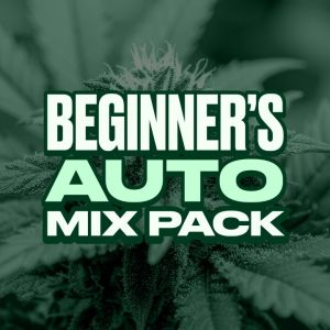 Beginner’s Autoflower Mix Pack