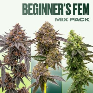 Beginner’s Seeds Mix Pack 