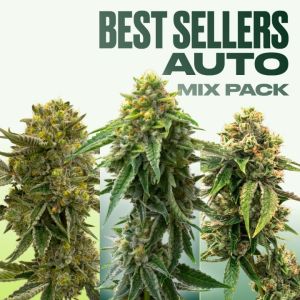 Best Sellers Auto Seeds Mix Pack