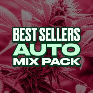 Best Sellers Autoflower Mix Pack