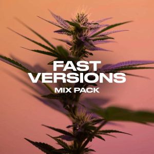 Fast Version Mix Pack