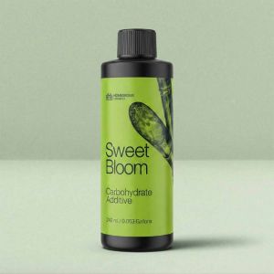 Sweet Bloom