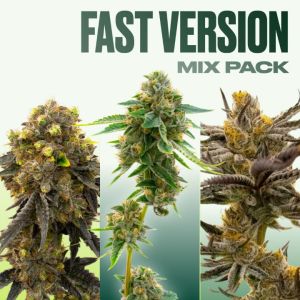 Fast Version Mix Pack