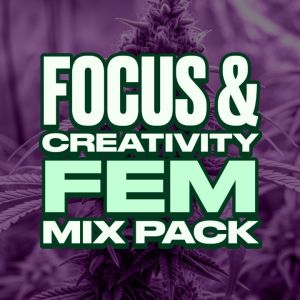 Focus & Creativity Feminized Mix Pack