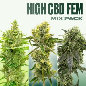 High CBD Feminized Mix Pack