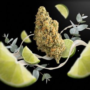 Ghost Train Haze THCa Flower