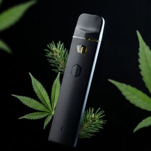Jack Herer Live Rosin THCa Vape 1G