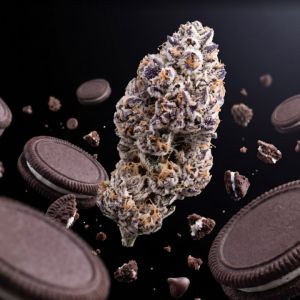Oreoz THCa Flower