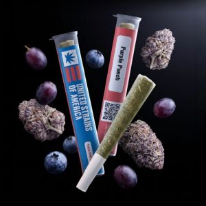 Purple Punch Pre-roll 1G