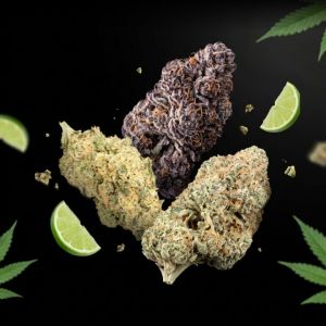 Sativa THCa Flower Bundle