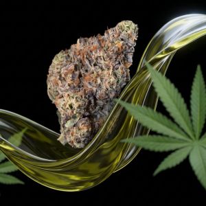 Sour Diesel THCa Flower