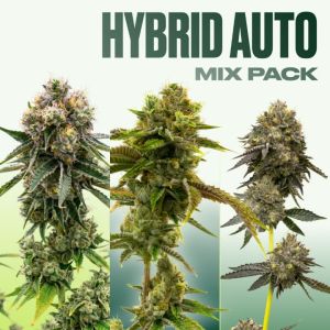 Hybrid Autoflower Mix Pack