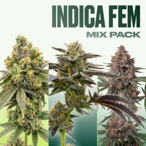 Indica Seeds Mix Pack