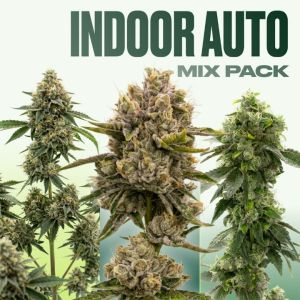 Indoor Autoflower Mix Pack