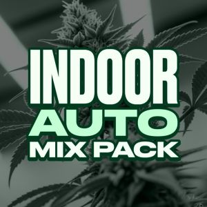 Indoor Autoflower Mix Pack