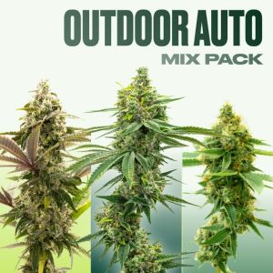 Outdoor Auto Seeds Mix Pack