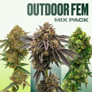 Outdoor Seeds Mix Pack