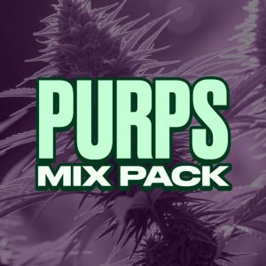 Purps Mix Pack