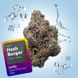 Hash Burger THCa Flower