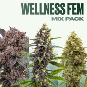 Wellness Feminized Mix Pack