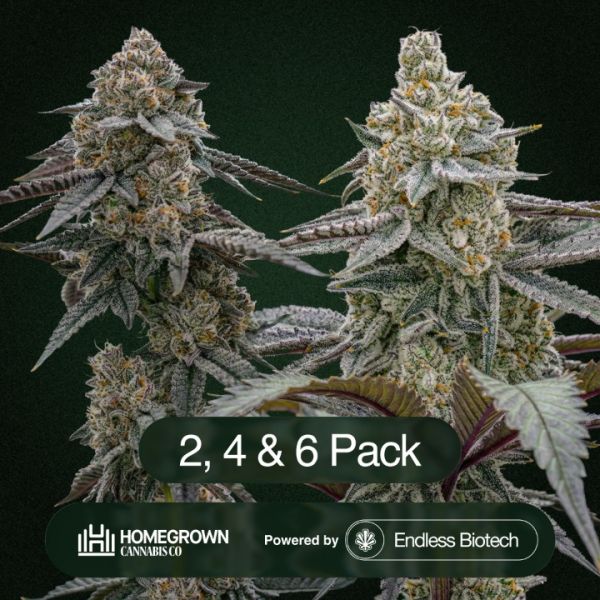 Plasma Fruit + Killer Cupcake Clone Bundle