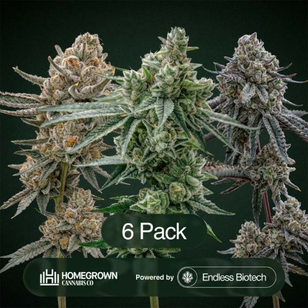 GG4 + Black Baccara + Hunter's Moon Clone Bundle
