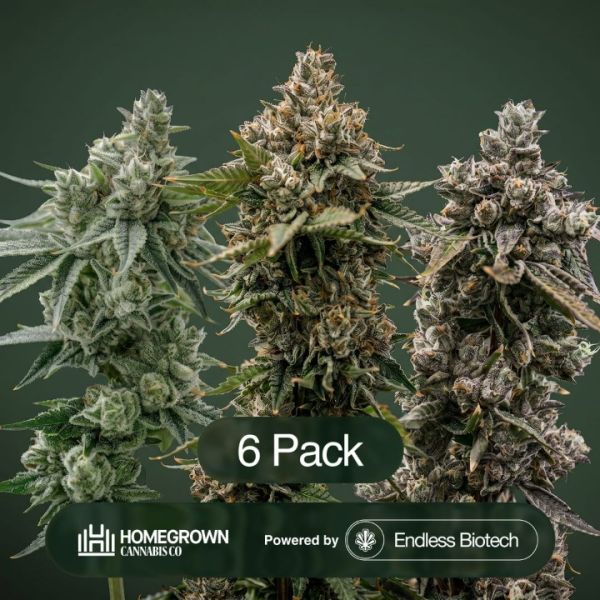 GG4 + Bananaconda + The Dream Clone Bundle