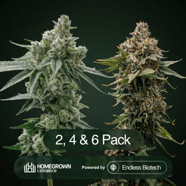 GG4 + Bananaconda Clone Bundle