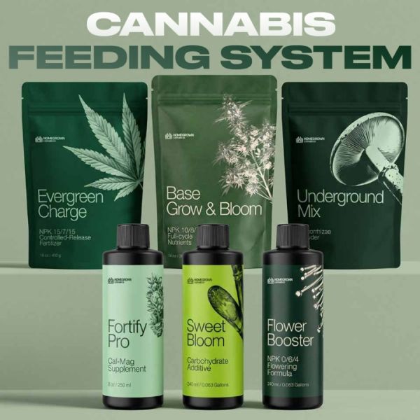 Cannabis Feeding System