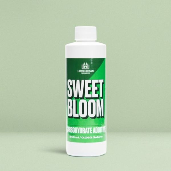 Sweet Bloom