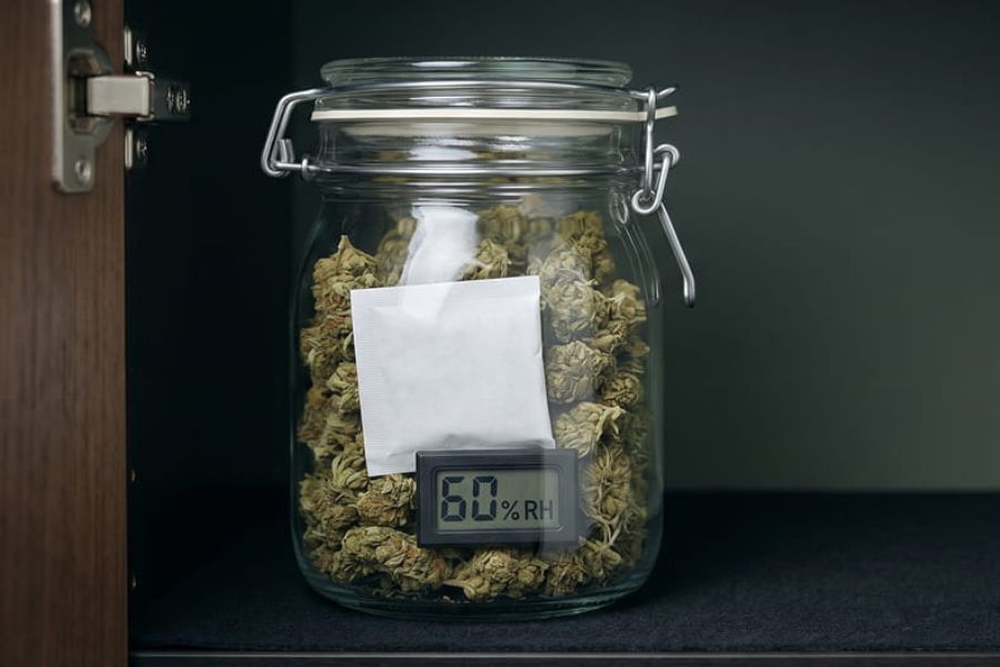 Airtight glass jar of cannabis with a humidity pack and hygrometer at 60% RH in a cool dark cabinet.