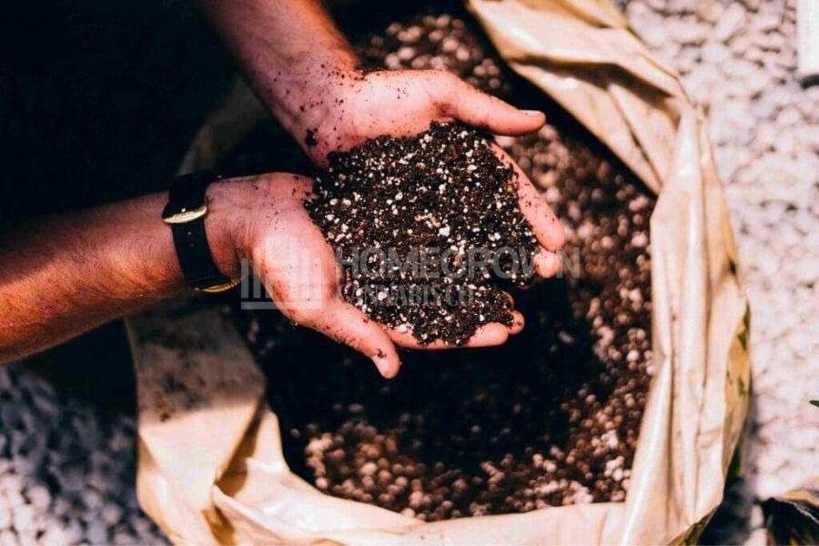 Soil for indoor growing.