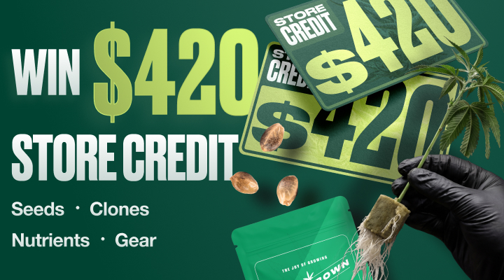 420 Giveaway — Win $420 Store Credit at Homegrown Cannabis Co.