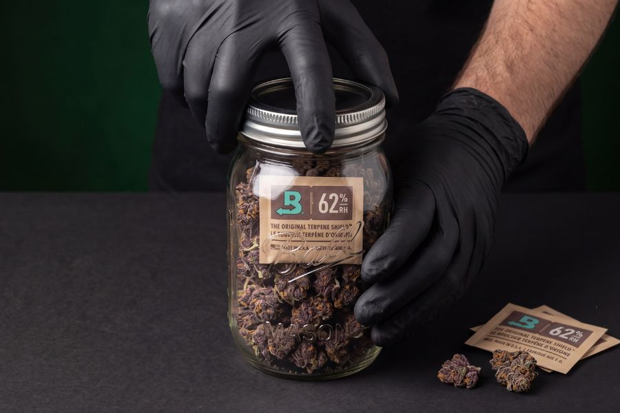 Mason jar filled with cannabis buds for proper long-term storage.